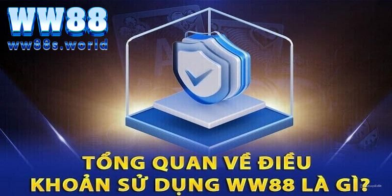 Thông tin về điều khoản sử dụng của WW88